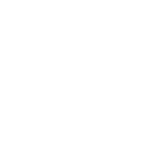 EPAM Systems, Inc.